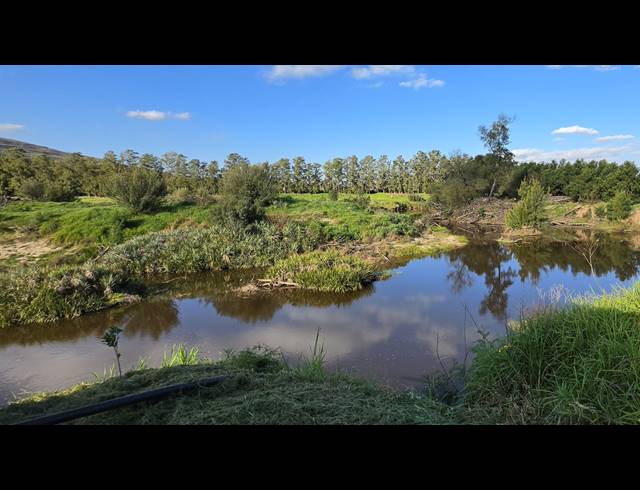 128,480M² FARM FOR SALE IN GREYTON